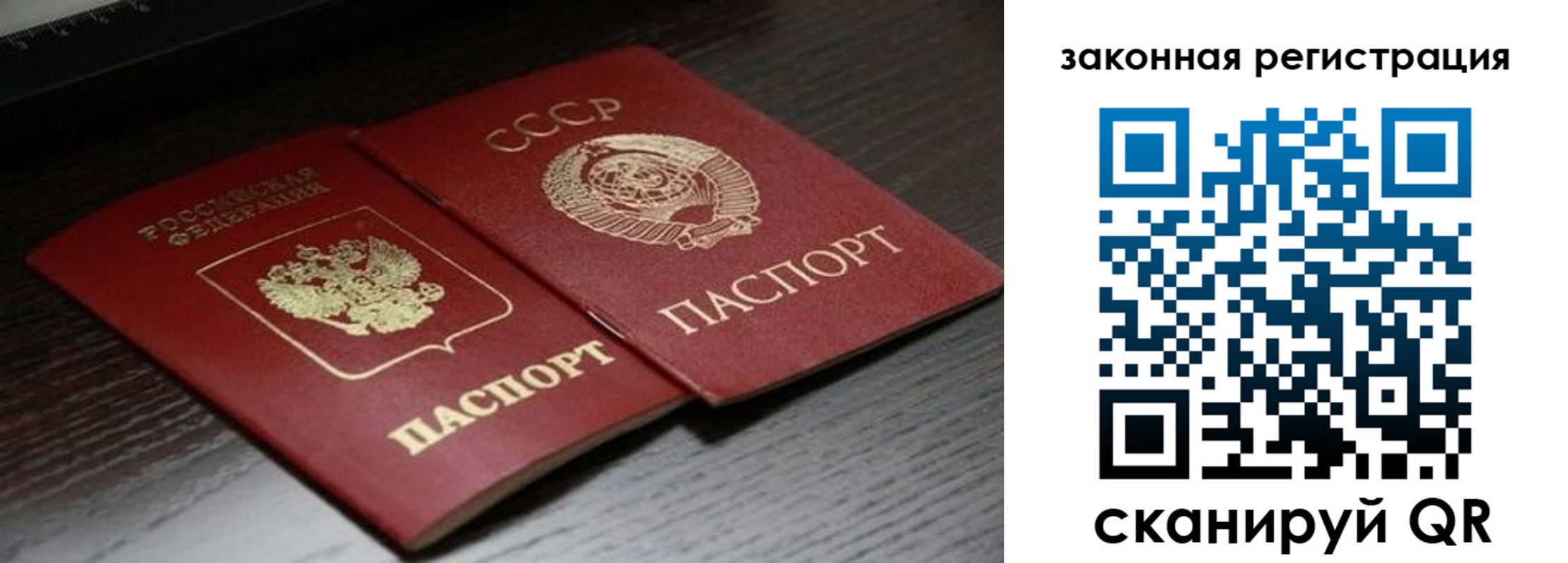 прописка поиск в Алейске